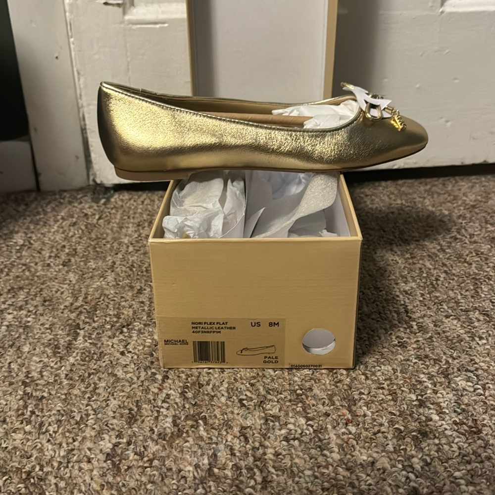 Nori Metallic Leather Ballet Flat